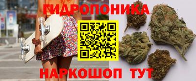 a pvp Гатчина