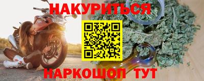 a pvp Гатчина
